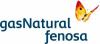 Логотип корпорации Gas Natural Fenosa